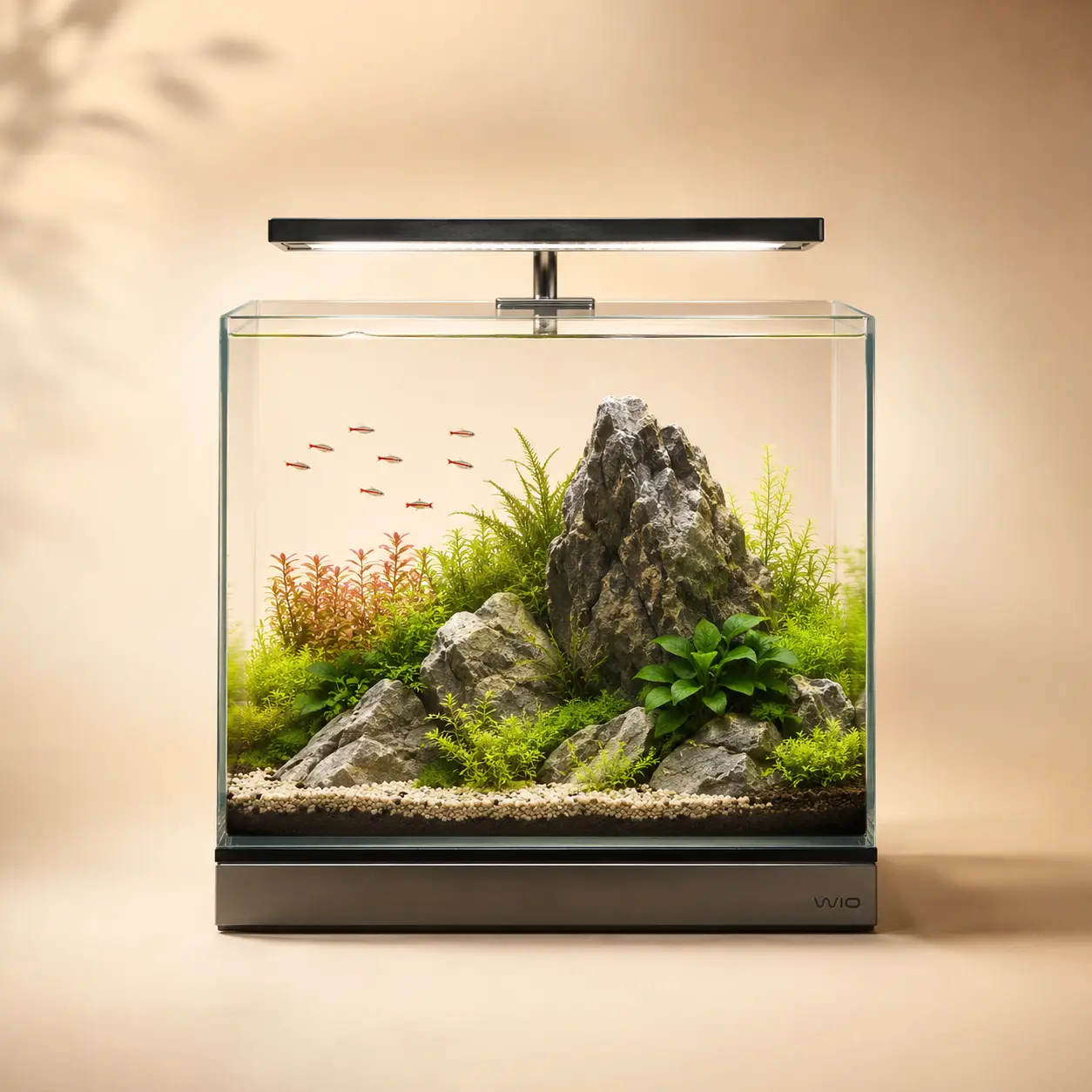 Aquariums